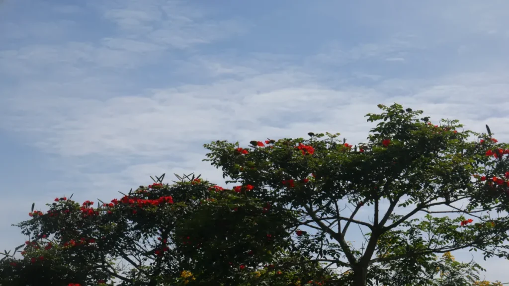 Kigali skies